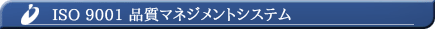 ISO 9001 �i���}�l�W�����g�V�X�e��